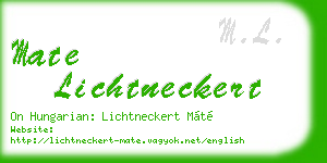 mate lichtneckert business card