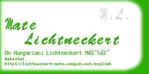 mate lichtneckert business card